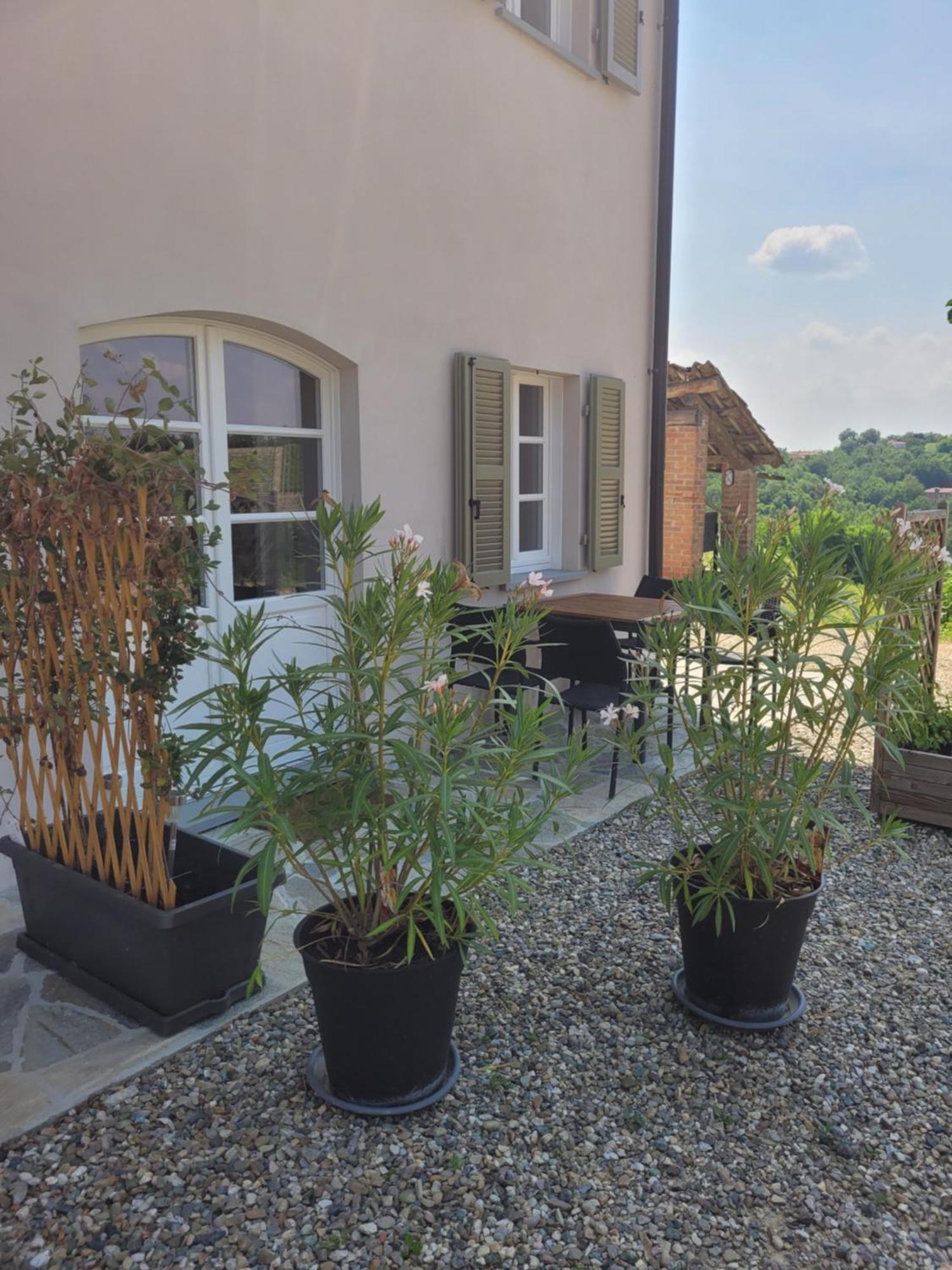 Cascina Allegria Castelnuovo  Екстер'єр фото