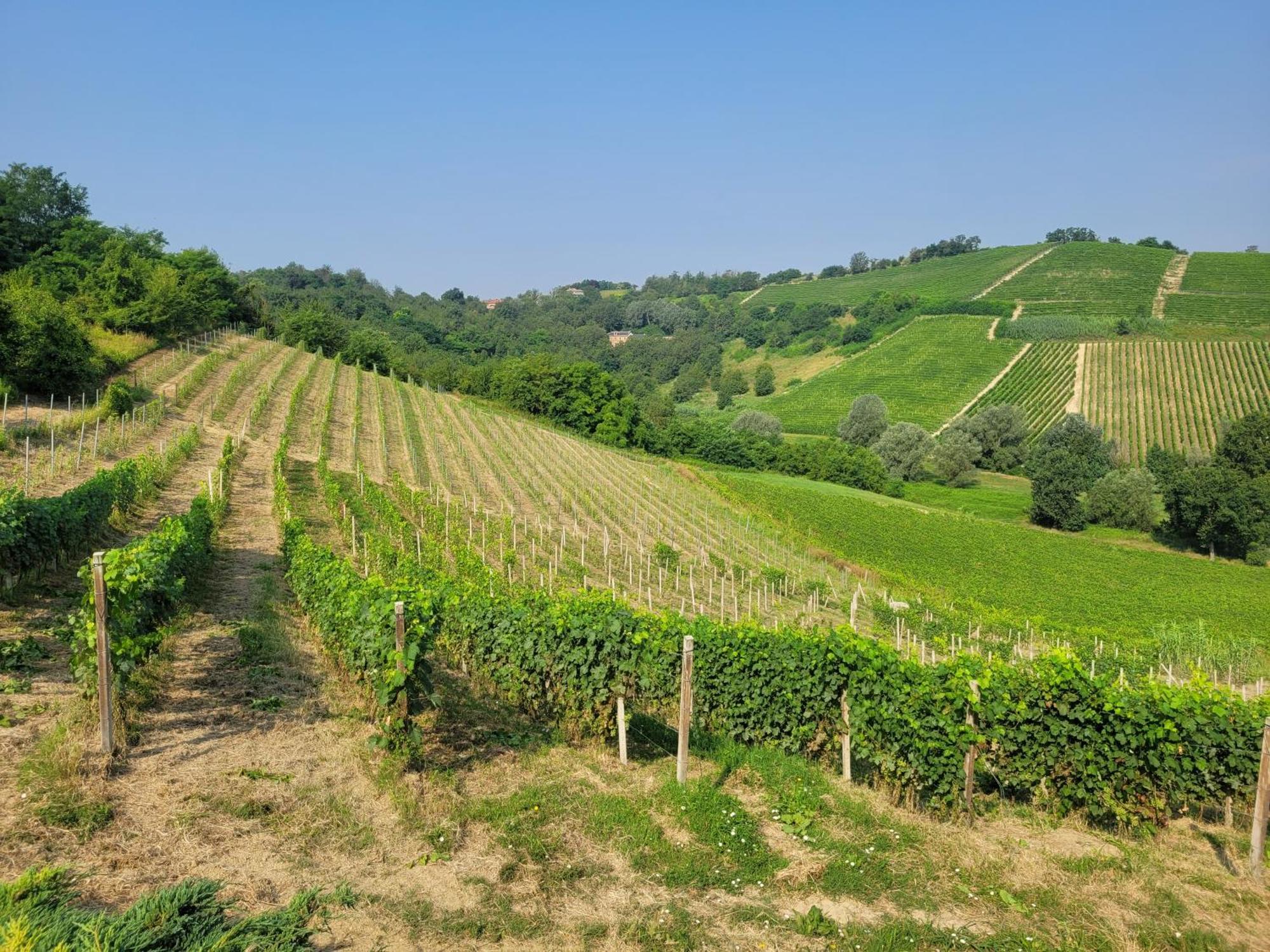 Cascina Allegria Castelnuovo  Екстер'єр фото